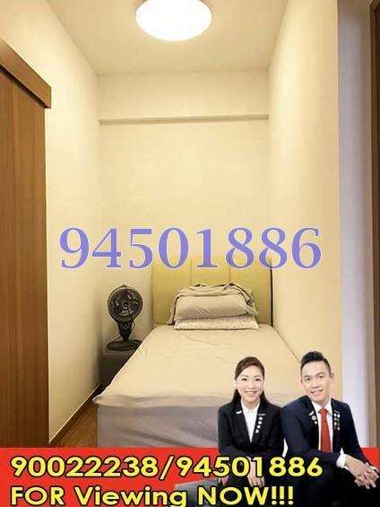 Watertown (D19), Apartment #168205662